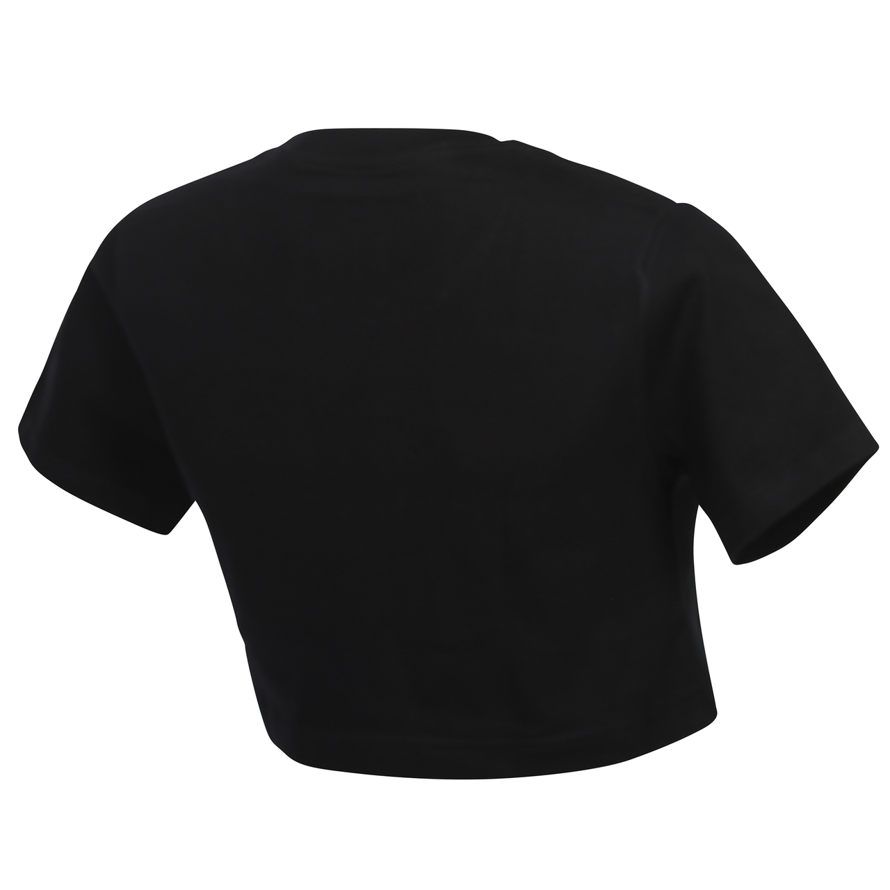 BCT Black Crop Top